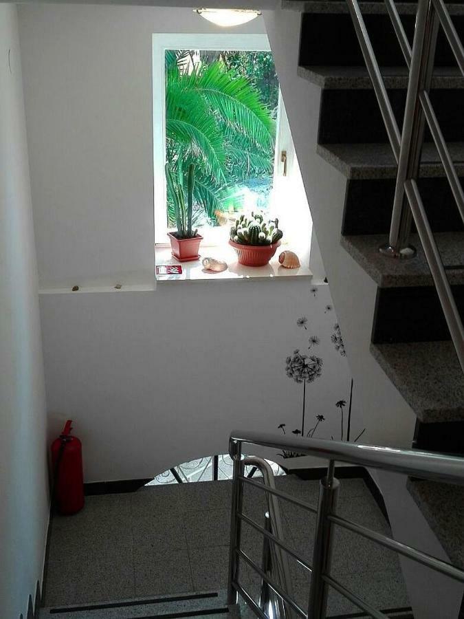 Apartments Bellus Mare 木洛希尼 外观 照片